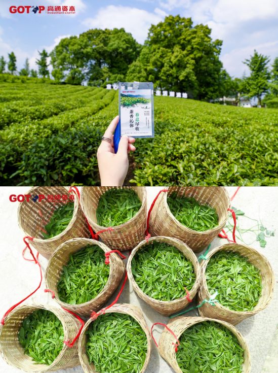 微信截图_20220608105620.png